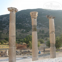 фото из отзыва ID 845462