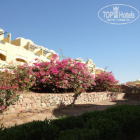 фото из отзыва ID 845577