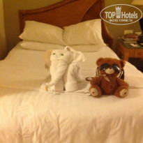 фото из отзыва ID 845577