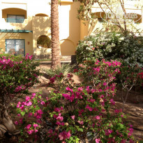 фото из отзыва ID 845577