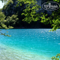 фото из отзыва ID 84558