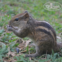 фото из отзыва ID 846043