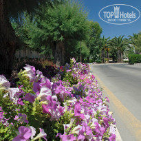 фото из отзыва ID 846051