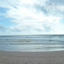 фото из отзыва ID 846131