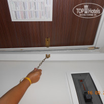 фото из отзыва ID 846250