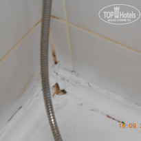 фото из отзыва ID 846250