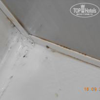 фото из отзыва ID 846250