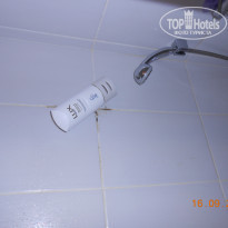 фото из отзыва ID 846250