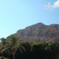 фото из отзыва ID 846339