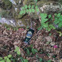 фото из отзыва ID 846366