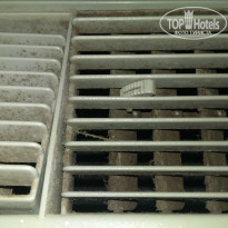 фото из отзыва ID 846366