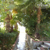 фото из отзыва ID 846476