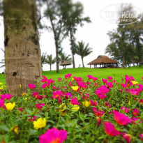 фото из отзыва ID 846503