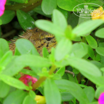 фото из отзыва ID 846503