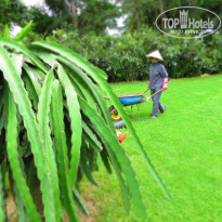 фото из отзыва ID 846503