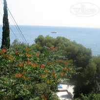 фото из отзыва ID 846701