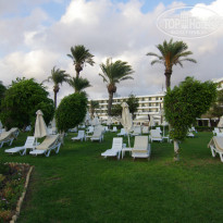 фото из отзыва ID 846868