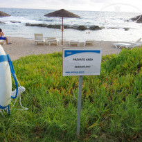 фото из отзыва ID 846868