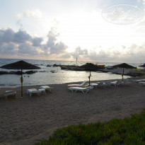 фото из отзыва ID 846868