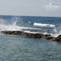 фото из отзыва ID 846868