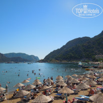 фото из отзыва ID 846935