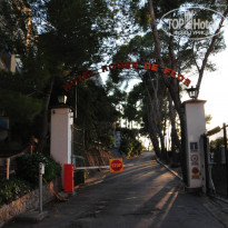 фото из отзыва ID 846945