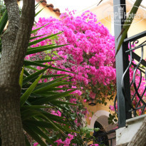 фото из отзыва ID 846975