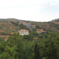 фото из отзыва ID 847179