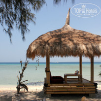 фото из отзыва ID 847240