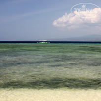 фото из отзыва ID 847240