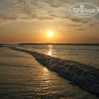 фото из отзыва ID 847240