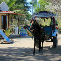 фото из отзыва ID 847240