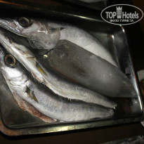 фото из отзыва ID 847240