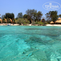 фото из отзыва ID 847240