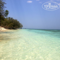 фото из отзыва ID 847240