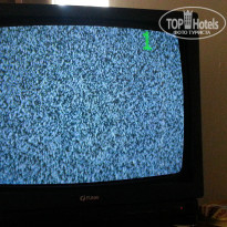 фото из отзыва ID 847631