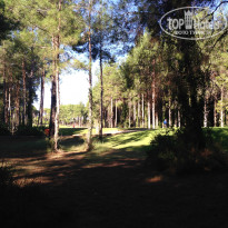 фото из отзыва ID 847429