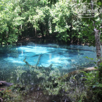 фото из отзыва ID 847773