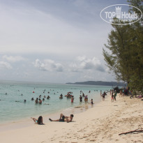 фото из отзыва ID 847773