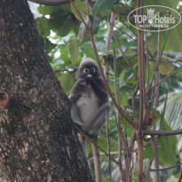 фото из отзыва ID 847773