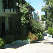 фото из отзыва ID 847862