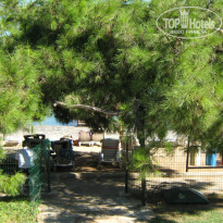 фото из отзыва ID 847862