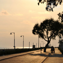 фото из отзыва ID 847238