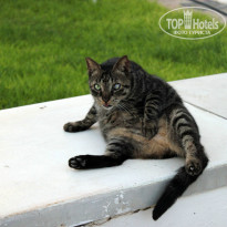 фото из отзыва ID 848214