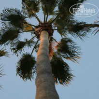 фото из отзыва ID 848214