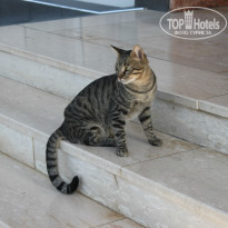 фото из отзыва ID 848214