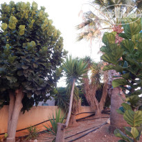 фото из отзыва ID 848330