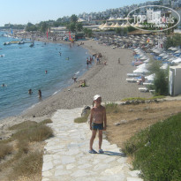 фото из отзыва ID 848570