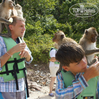 фото из отзыва ID 848589