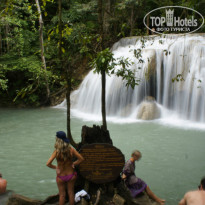 фото из отзыва ID 848589